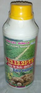 To trái chắc hạt Đậu phộng