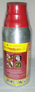 TRICEL Đặc trị: Rệp sáp, Bọ xít muỗi