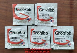 Phân bón lá dạng sủi Gro.Gibb 10SP xanh lá, dày lá, phát triển r.ễ tơ. COMBO 5 viên.