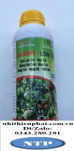 Phân Bón Lá BigOne Trái Lớn to củ