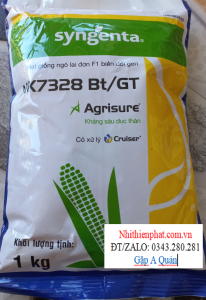 GIỐNG NGÔ LAI F1 BIẾN ĐỔI GEN - NK7328 BT/GT