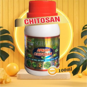 Phân bón lá lớn trái đẹp mã nặng ký Chiptosan 100ml