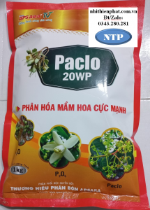 PACLO 20 kích thích Ra Hoa Trái Vụ Tưới xoài nhãn sầu riêng lúa