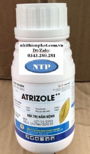 Thuốc Trừ Nấm Bệnh xanh  Cây Bóng Trái ATRIZOLE 260SC  240ml