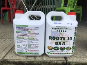 Phân bón lá siêu kích rễ Root 10 USA