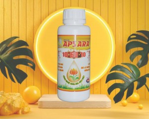 Phân bón lá 10- 60 -10 tạo mầm hoa làm già lá cho hoa nghịch vụ apsara