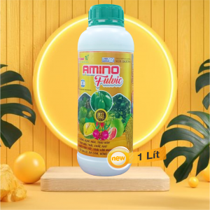 Amino fulvic Lớn trái đẹp mã xanh lá dày lá  chai 1lits apsara