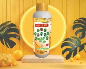 Phân bón lá KaLi 2 Nhân 1Lít Lớn trái đẹp mã, to củ nặng ký