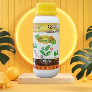 Super combi dưỡng lá xanh lá kích rễ  lớn trái đẹp mã apsara213