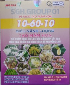10 60 10 hộp 1kg đệ nhất tạo mầm hoa asr