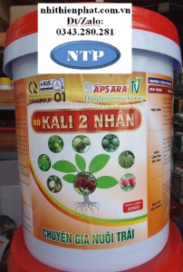 Xô  Kali 2 Nhân lớn trái đẹp mã nặng ký  Apsara