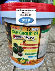 xô Amino 22Kg asr