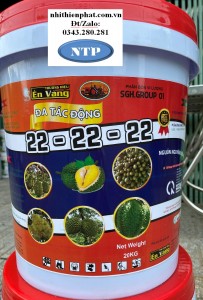 XÔ 22-22-22 lớn trái đẹp mã nặng kg trái tròn lây đều asr