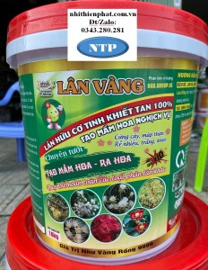 Lân Vàng ASR Xô 10kg (Xô 10kg)