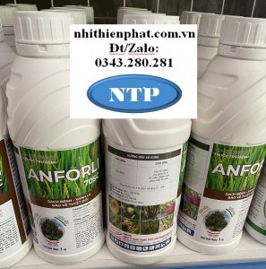 Anforli NM 1L