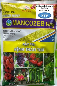 Manco vàng byphan LS 1Kg