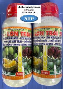 Lớn trái 79 500ml npv