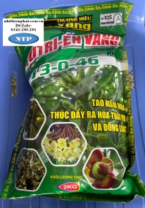 Nutri én vàng Kno3 13-46 2Kg Asr