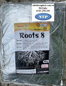 Phân bón Root 8 Siêu ra rễ đầm chồi xanh lá ASR túi 10KG