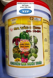 Phân bón npk  21-21-21  Nuôi trái cực nhanh, phì trái cực mạnh, lên màu nặng ký XÔ 22kg ASR