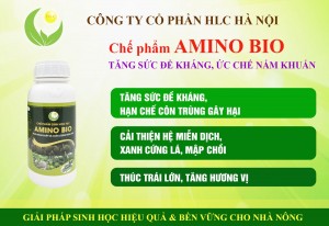 PHÂN BÓN HỮU CƠ CAO CẤP AMINO BIO-TĂNG SỨC ĐỀ KHÁNG HẠN CHẾ NẤM BỆNH HLC Chai 500ml