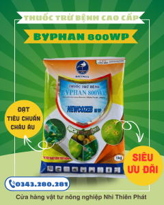 THUỐC TRỪ NẤM BỆNH MANCOXEB man cô zét TÚI 1KG thương hiệu BACONCO  800WP