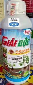 GIAI DOC 1L ASIA (chai)