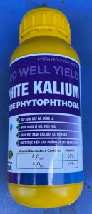 Phân bón Phosphite Kalium , Lân 2 chiều thối quả, thối thân vàng lá thối rễ nặng ký, chặn đọt chai 500ml LDVM