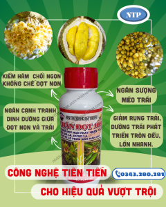 CHẶN ĐỌT 1000  Chai 500ml giúp mau già lá , đứng lá, ức chế đọt non , tăng tỷ lệ phân hoá mầm hoa