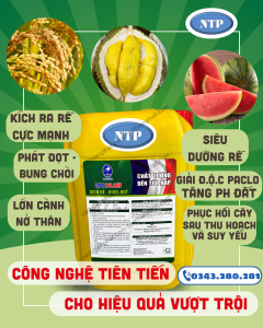 COFOLI FULAMIN kích rễ bung đọt giải độc Pacloa tăng PH đất