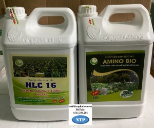 COMBO HLC16 VÀ AMINO kích rễ bung đọt lớn trái đẹp mã xanh lá dày lá phục hồi sau thu hoạch 2 can 5 lít