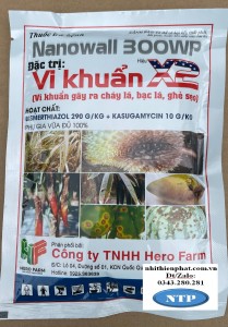 Vi khuẩn x2 đặc trị bạc lá cháy lá thán thư rỉ sắt thối quả ghẻ  sẹo gói 100g