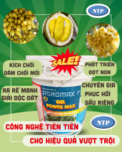 XÔ PHỤC HỒI SẦU RIÊNG LDVM Phục hồi cây Bung Đọt, Ra Rễ lá xanh dày LDVM