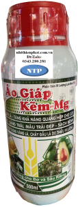 AO GIAP KEM xanh lá dày lá lớn trái đẹp mã được bổ sung thêm trung vi lượng chai 500ML NPV (chai)