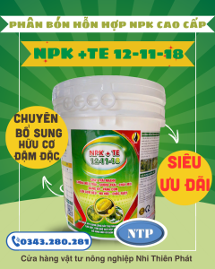 12 11 18 + TE LỚN TRÁI NHANH - XANH GAI - NỞ HỘC SỬA TƯỚNG TRÁI - VÀNG CƠM - NẶNG KÝ xô 15 kg