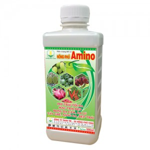 Amino Lớn Trái, Tẩy Ghẻ, Sáng da 500ml NPV (Chai)