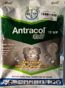 Antracon 100g