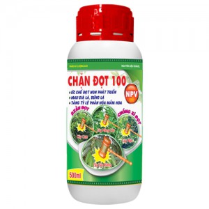 Chặn Đọt 100