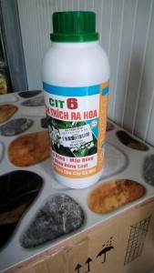 CIT 6 Kích thích ra hoa (chai)