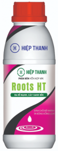 ROOTS HT CHAI 500ML
