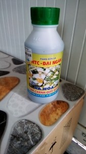 Ra Hoa Cam, Bưởi HPH