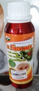 SẠCH NHỆN TB