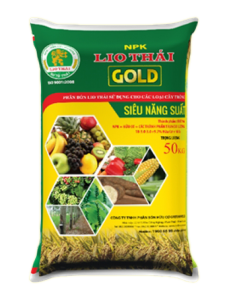 LIO THÁI GOLD